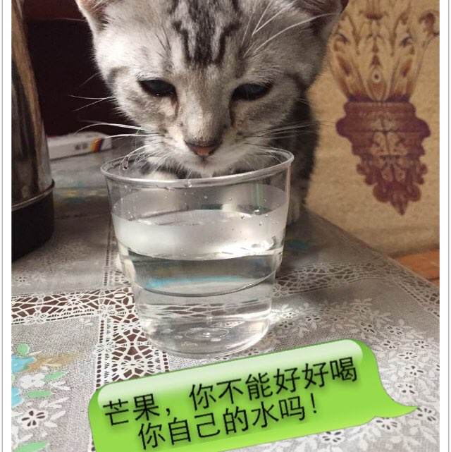 高中毕业证找不见了能参加考试吗?